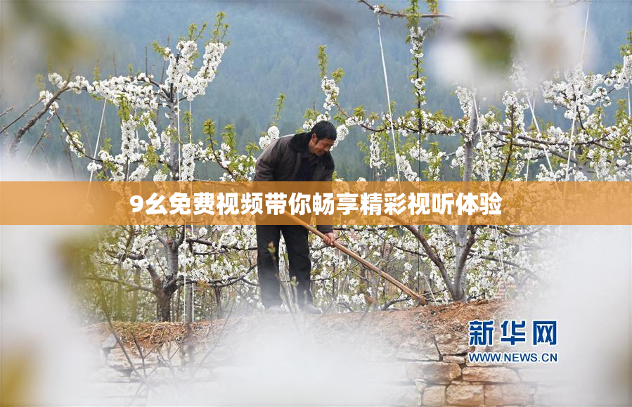 9幺免费视频带你畅享精彩视听体验