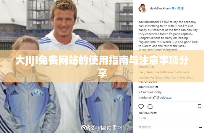大jiji免费网站的使用指南与注意事项分享