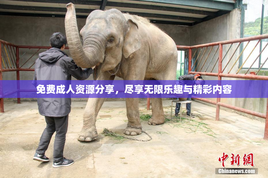 免费成人资源分享，尽享无限乐趣与精彩内容