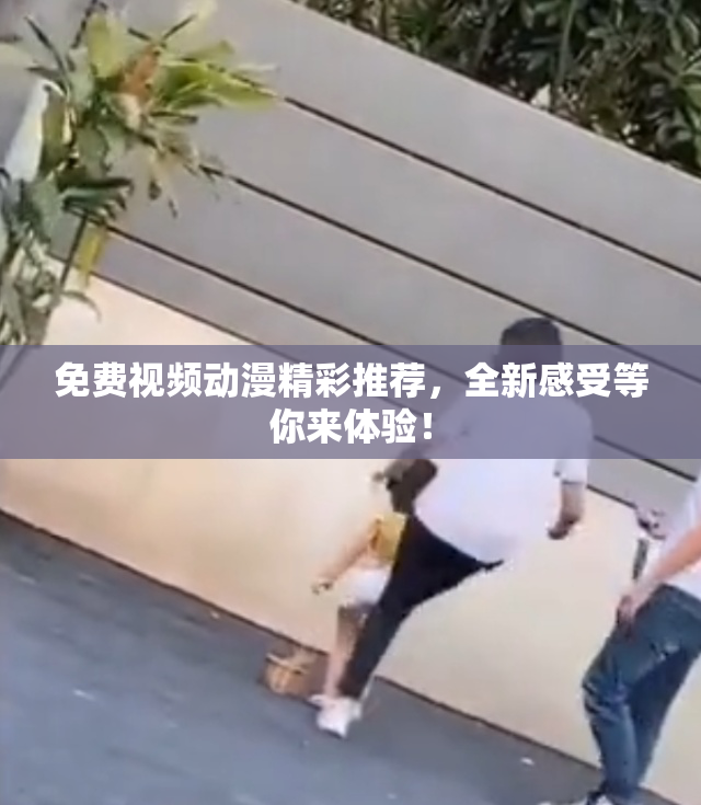 免费视频动漫精彩推荐，全新感受等你来体验！