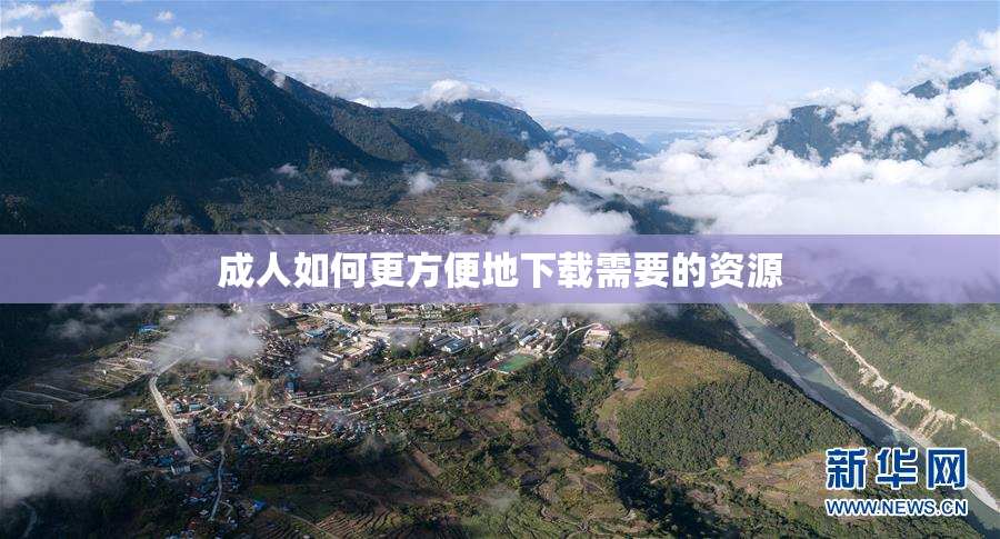 成人如何更方便地下载需要的资源
