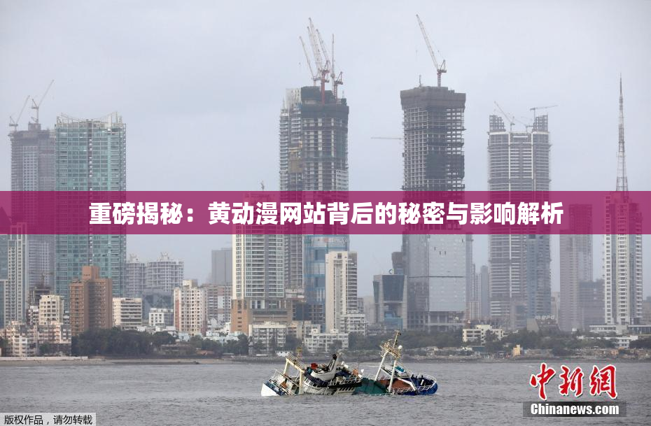 重磅揭秘：黄动漫网站背后的秘密与影响解析