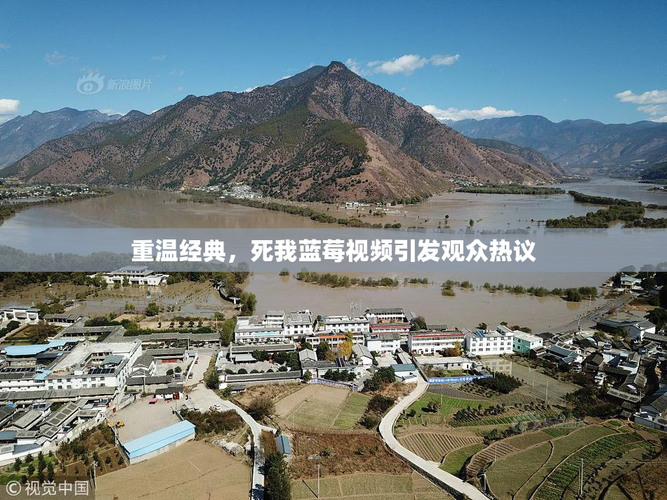 重温经典，死我蓝莓视频引发观众热议