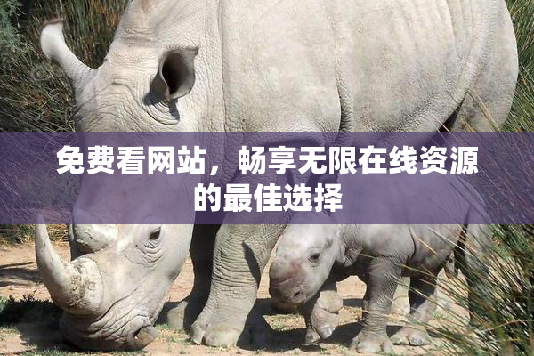 免费看网站，畅享无限在线资源的最佳选择
