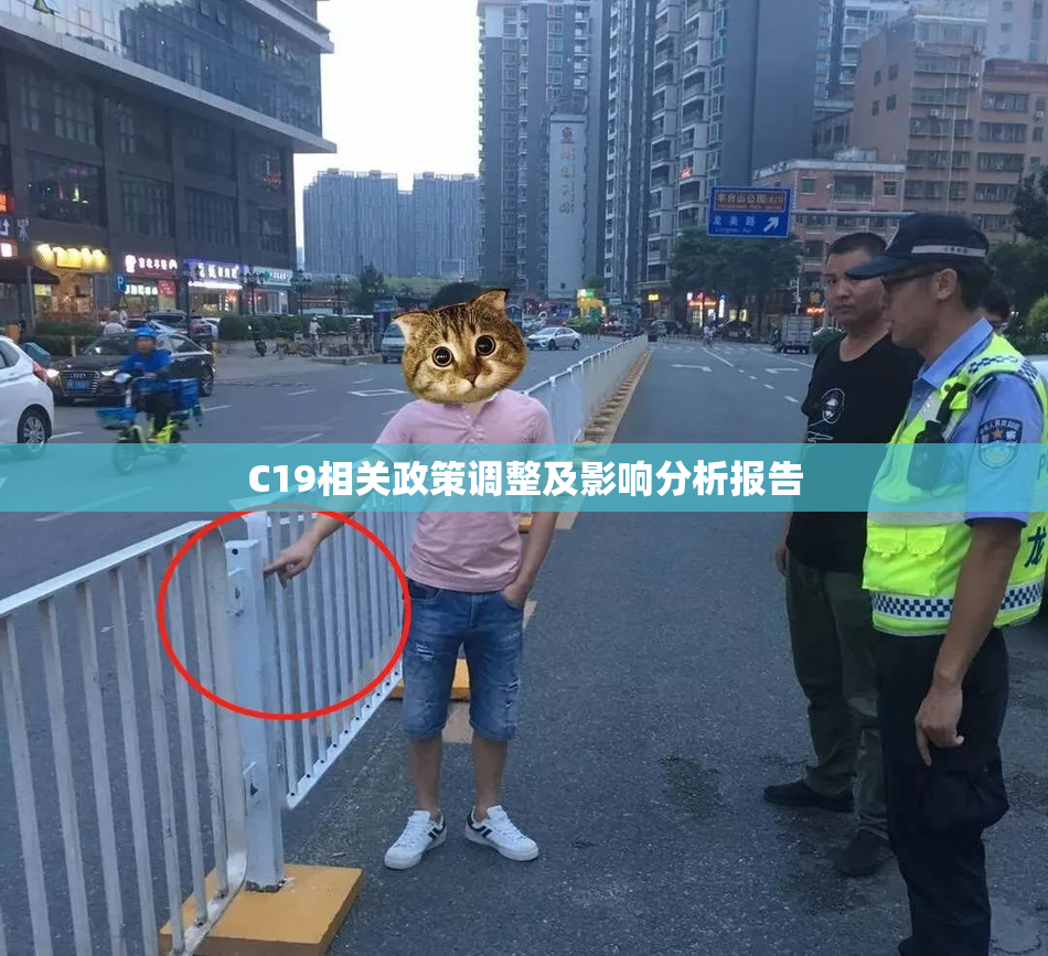 C19相关政策调整及影响分析报告