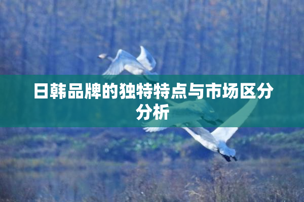 日韩品牌的独特特点与市场区分分析