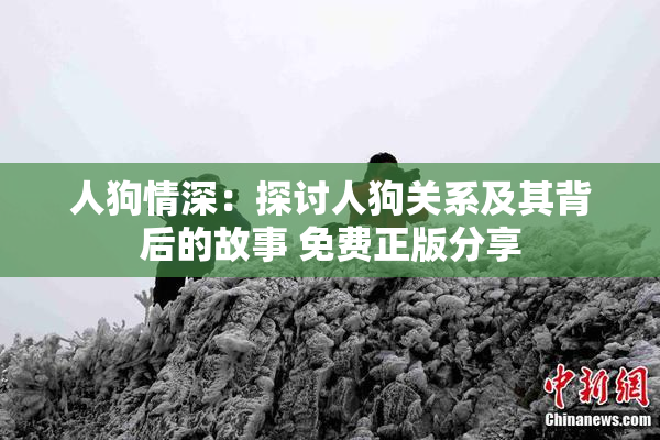 人狗情深：探讨人狗关系及其背后的故事 免费正版分享