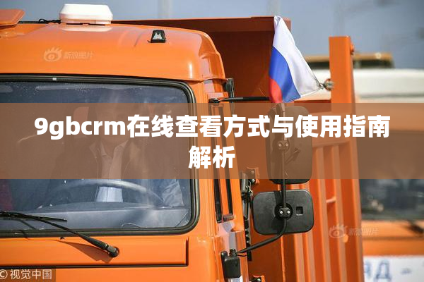 9gbcrm在线查看方式与使用指南解析
