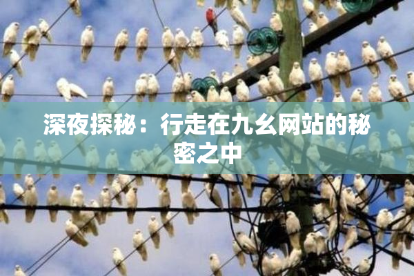 深夜探秘：行走在九幺网站的秘密之中