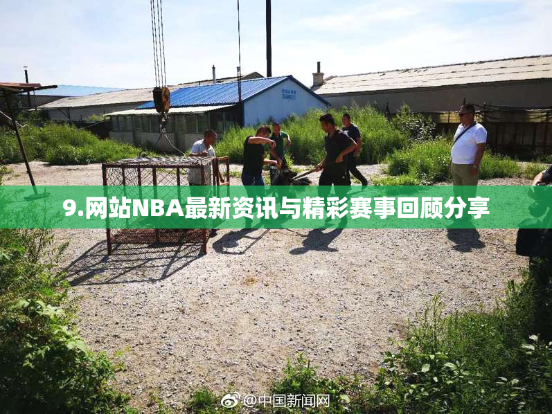 9.网站NBA最新资讯与精彩赛事回顾分享