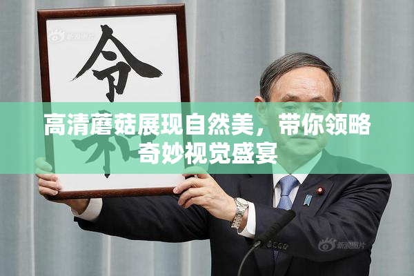 高清蘑菇展现自然美，带你领略奇妙视觉盛宴