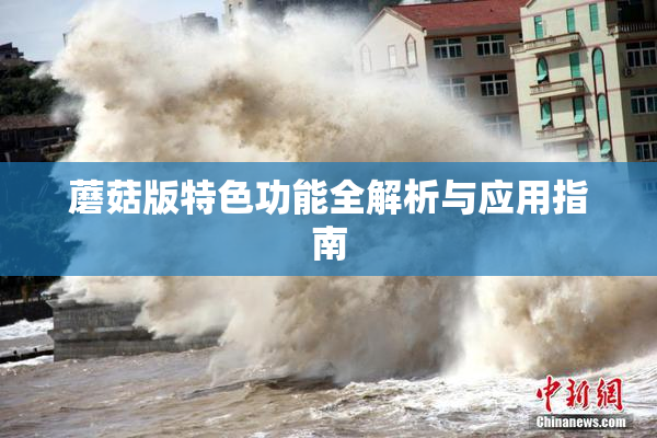 蘑菇版特色功能全解析与应用指南