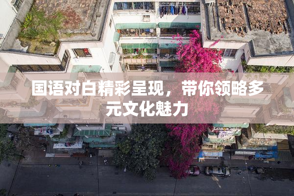 国语对白精彩呈现，带你领略多元文化魅力