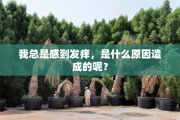 我总是感到发痒，是什么原因造成的呢？