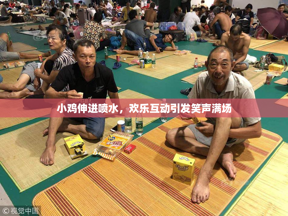 小鸡伸进喷水，欢乐互动引发笑声满场