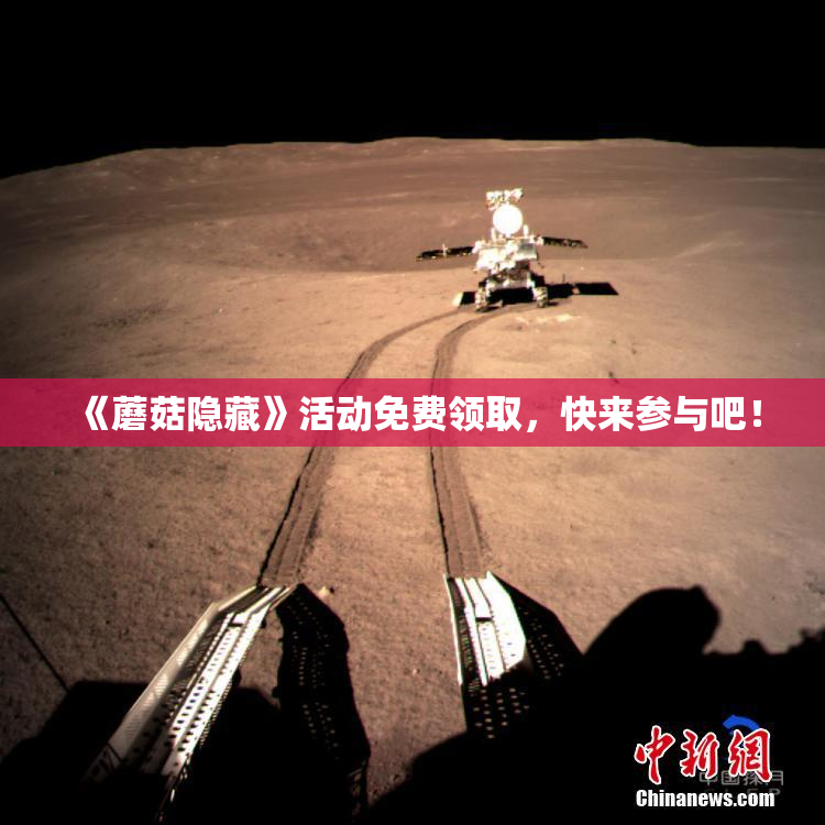 《蘑菇隐藏》活动免费领取，快来参与吧！