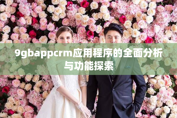 9gbappcrm应用程序的全面分析与功能探索