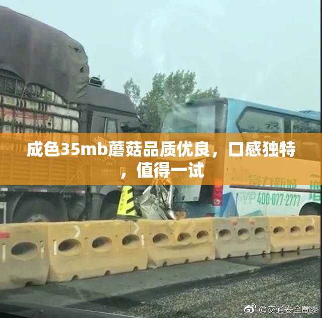 成色35mb蘑菇品质优良，口感独特，值得一试