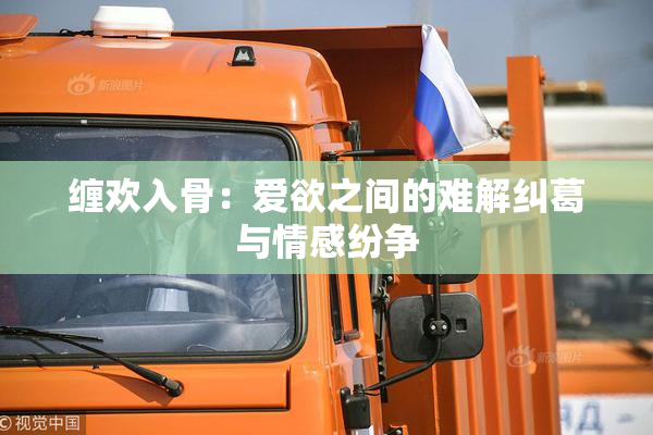缠欢入骨：爱欲之间的难解纠葛与情感纷争