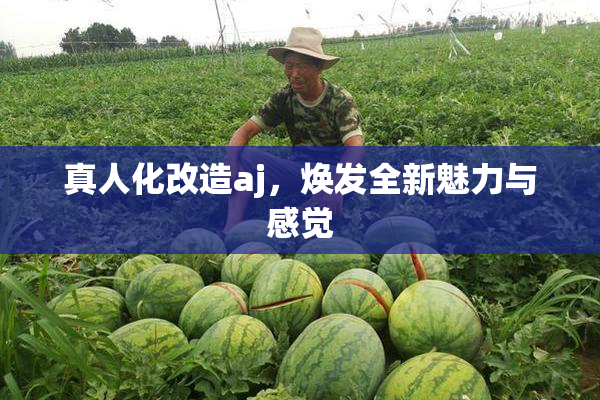 真人化改造aj，焕发全新魅力与感觉