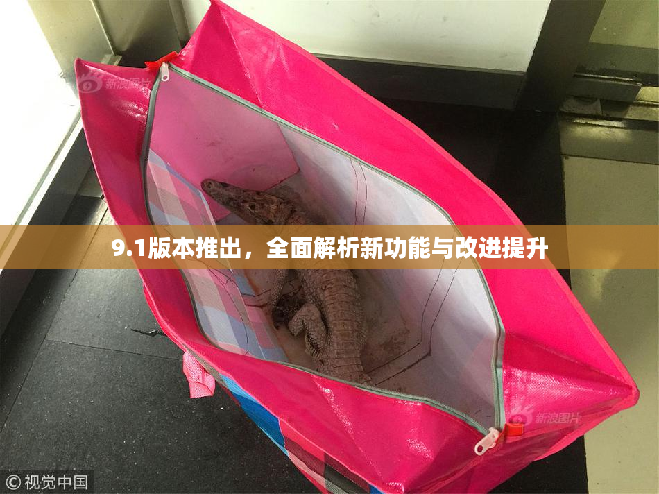 9.1版本推出，全面解析新功能与改进提升