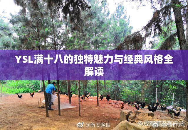 YSL满十八的独特魅力与经典风格全解读