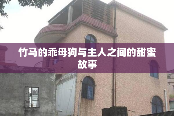 竹马的乖母狗与主人之间的甜蜜故事
