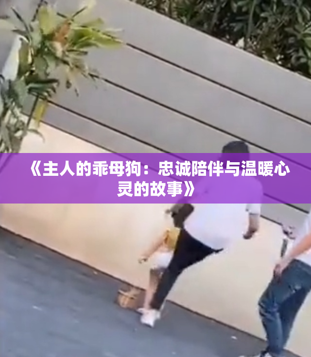 《主人的乖母狗：忠诚陪伴与温暖心灵的故事》