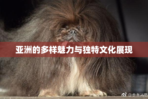 亚洲的多样魅力与独特文化展现