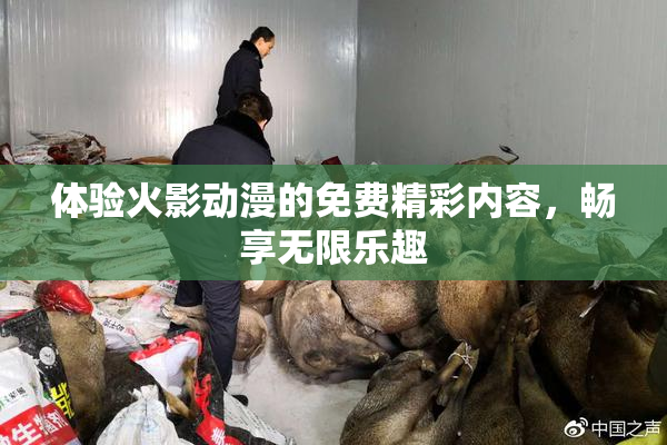 体验火影动漫的免费精彩内容，畅享无限乐趣
