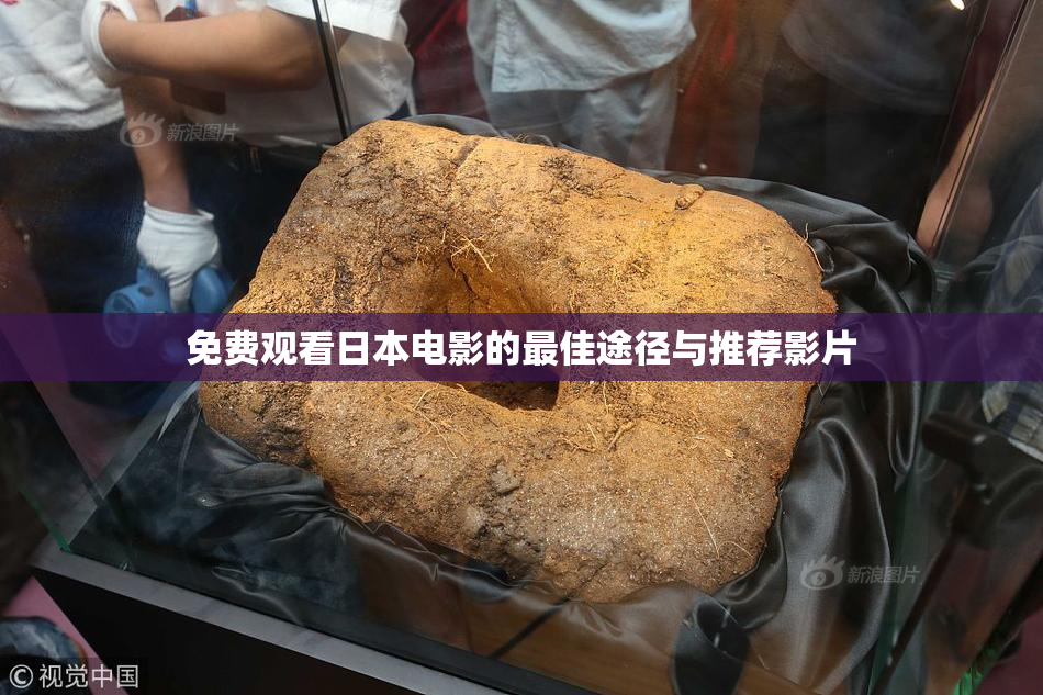 免费观看日本电影的最佳途径与推荐影片