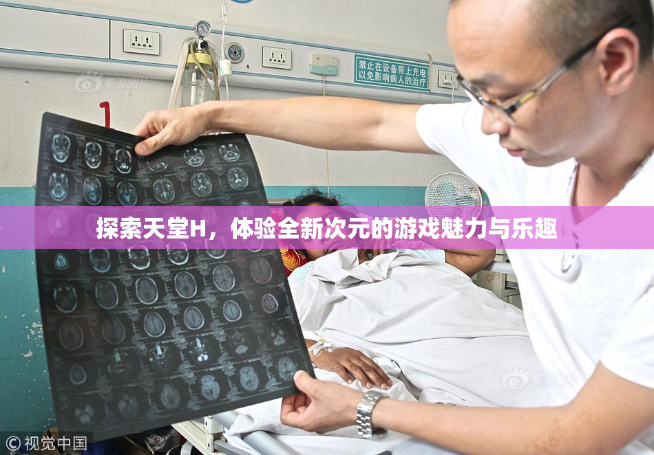 探索天堂H，体验全新次元的游戏魅力与乐趣