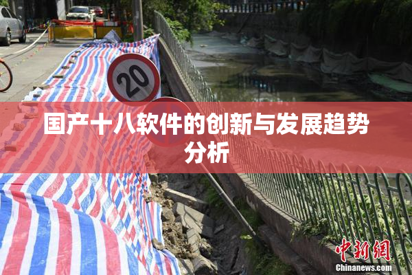 国产十八软件的创新与发展趋势分析
