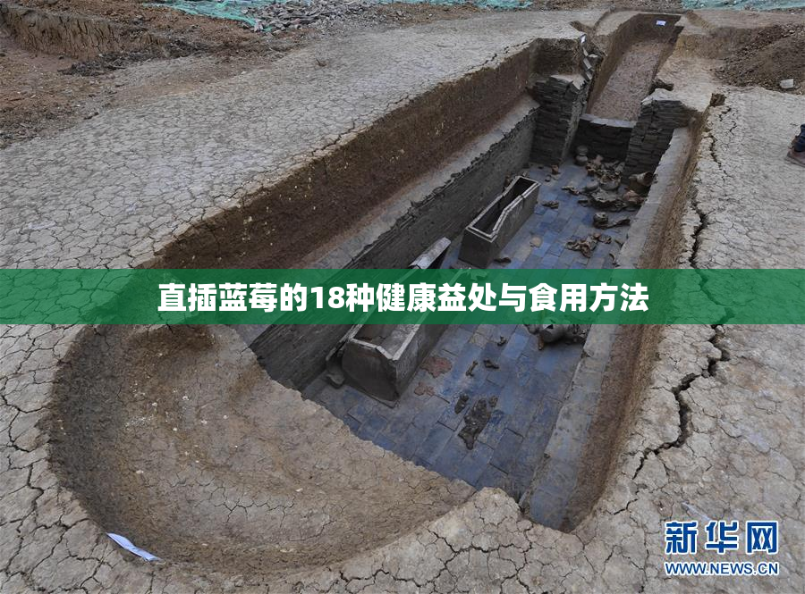 直插蓝莓的18种健康益处与食用方法
