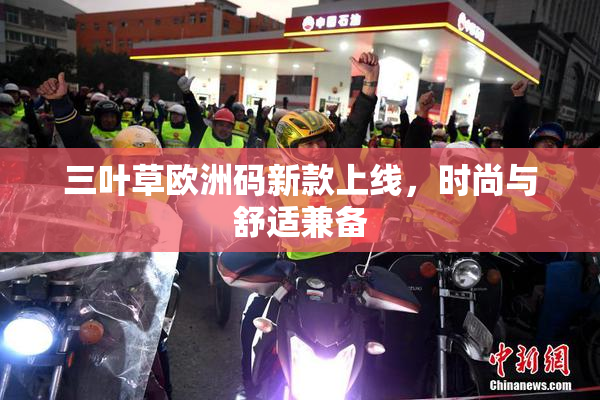 三叶草欧洲码新款上线，时尚与舒适兼备