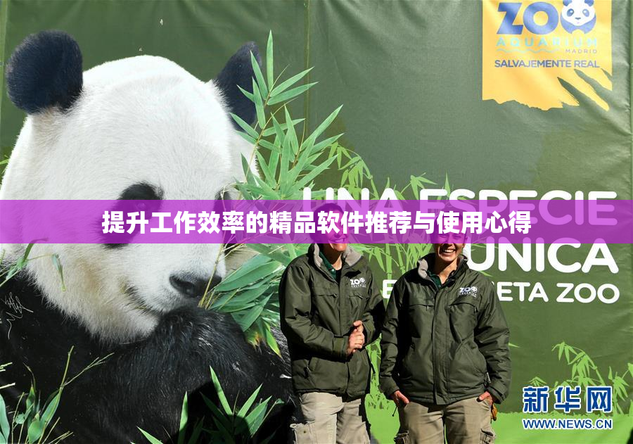 提升工作效率的精品软件推荐与使用心得