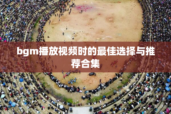 bgm播放视频时的最佳选择与推荐合集