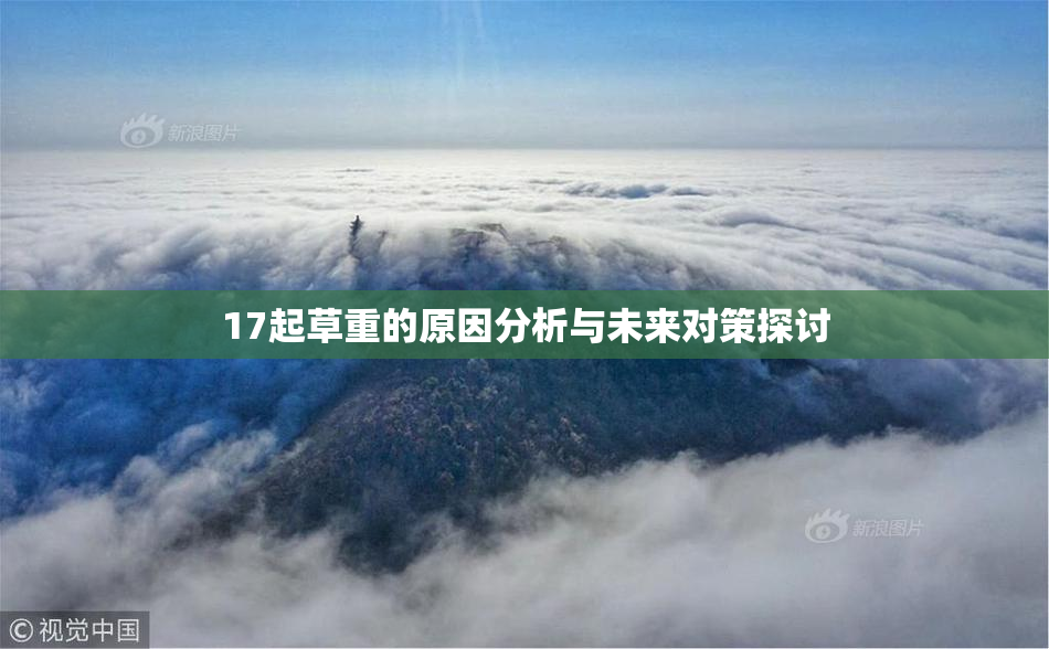 17起草重的原因分析与未来对策探讨