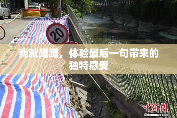 我就蹭蹭，体验最后一句带来的独特感受