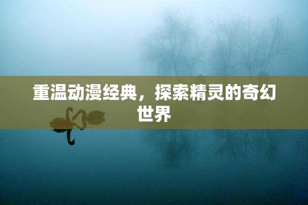 重温动漫经典，探索精灵的奇幻世界
