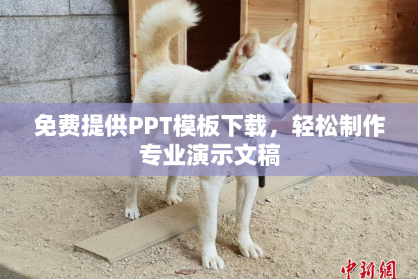 免费提供PPT模板下载，轻松制作专业演示文稿