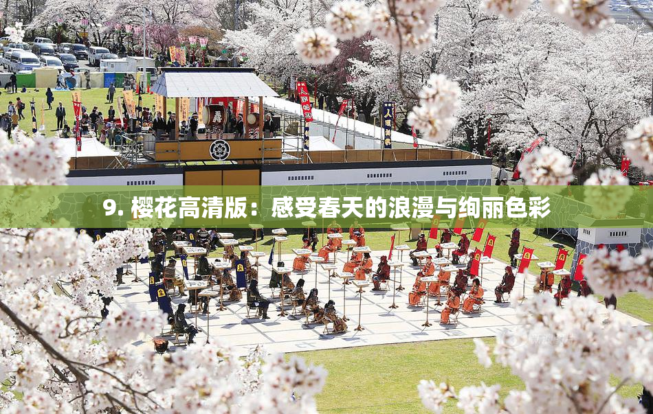 9. 樱花高清版：感受春天的浪漫与绚丽色彩