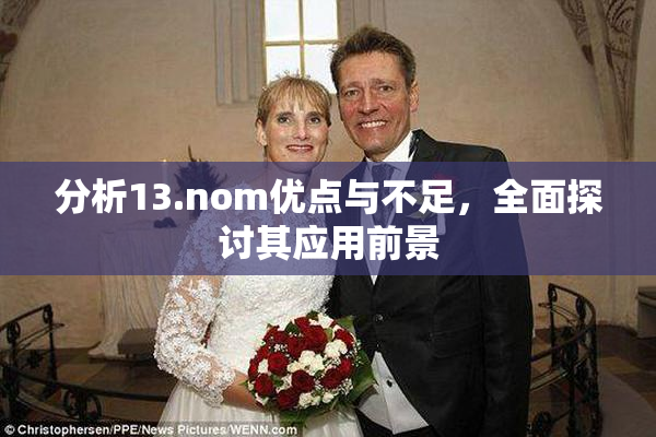 分析13.nom优点与不足，全面探讨其应用前景