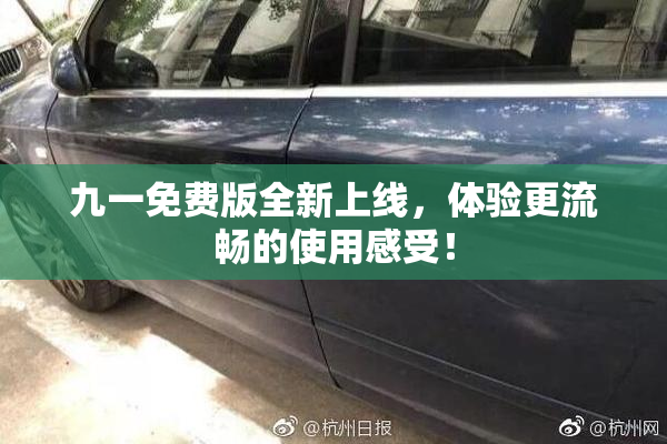九一免费版全新上线，体验更流畅的使用感受！