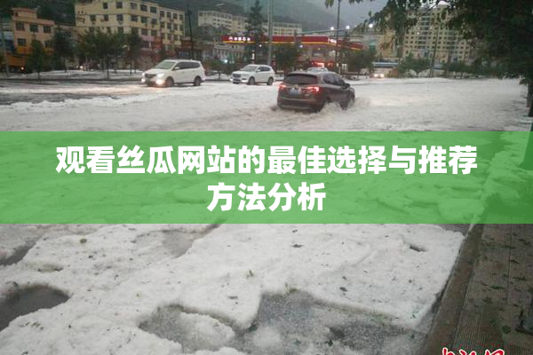 观看丝瓜网站的最佳选择与推荐方法分析