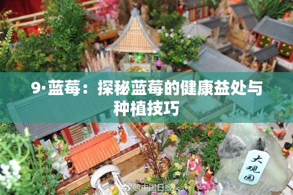 9·蓝莓：探秘蓝莓的健康益处与种植技巧