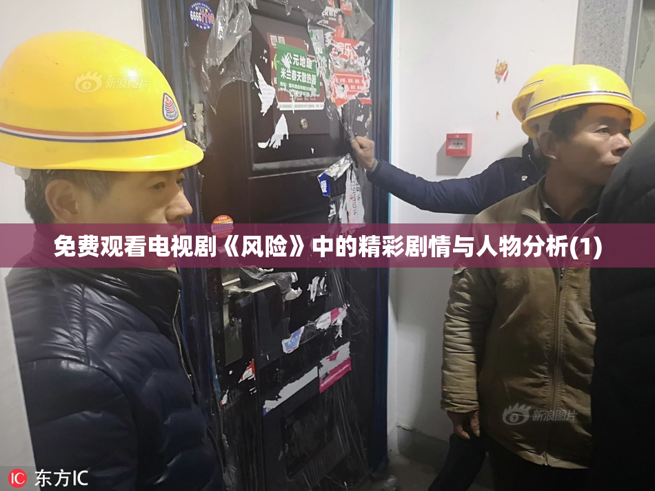 免费观看电视剧《风险》中的精彩剧情与人物分析(1)