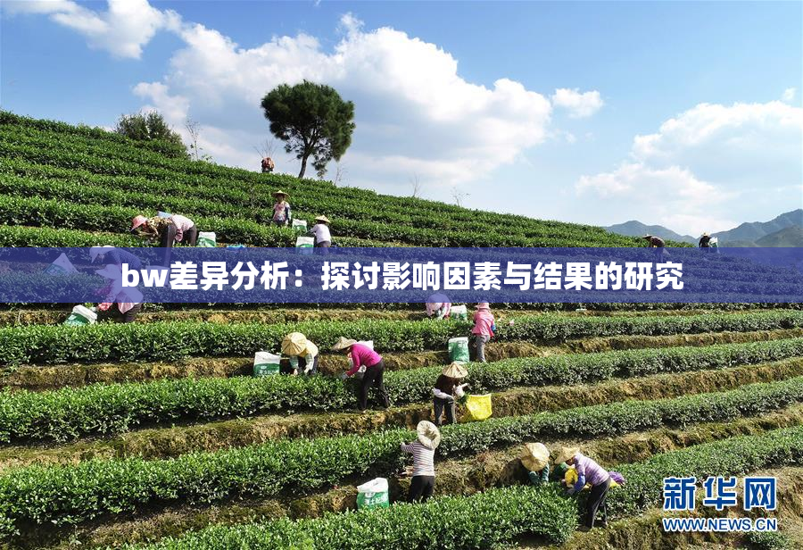 bw差异分析：探讨影响因素与结果的研究