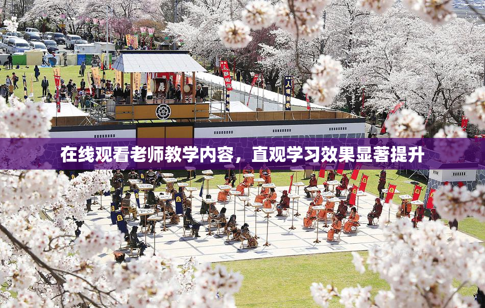 在线观看老师教学内容，直观学习效果显著提升