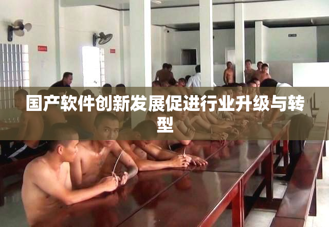 国产软件创新发展促进行业升级与转型